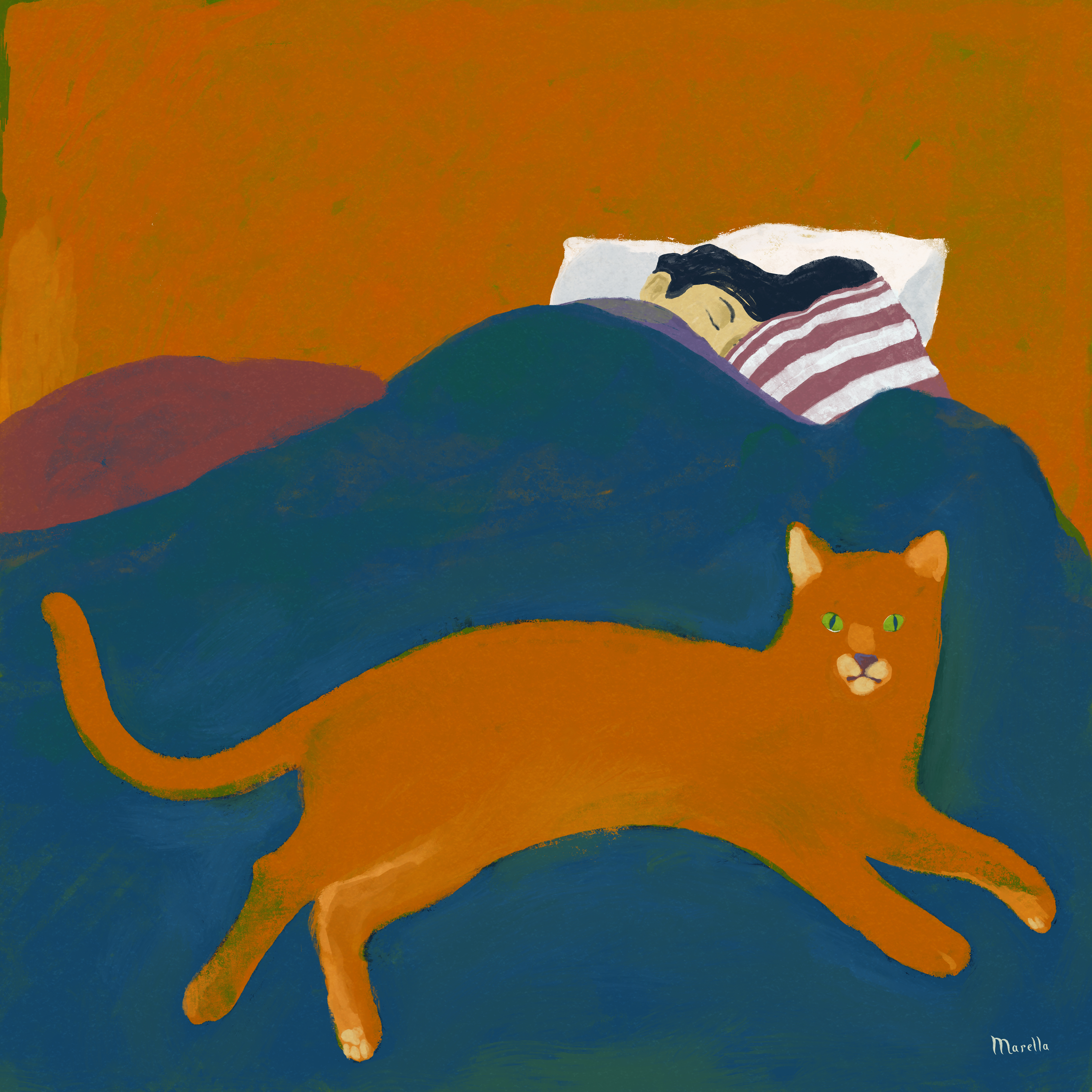 red cat on blue bed
