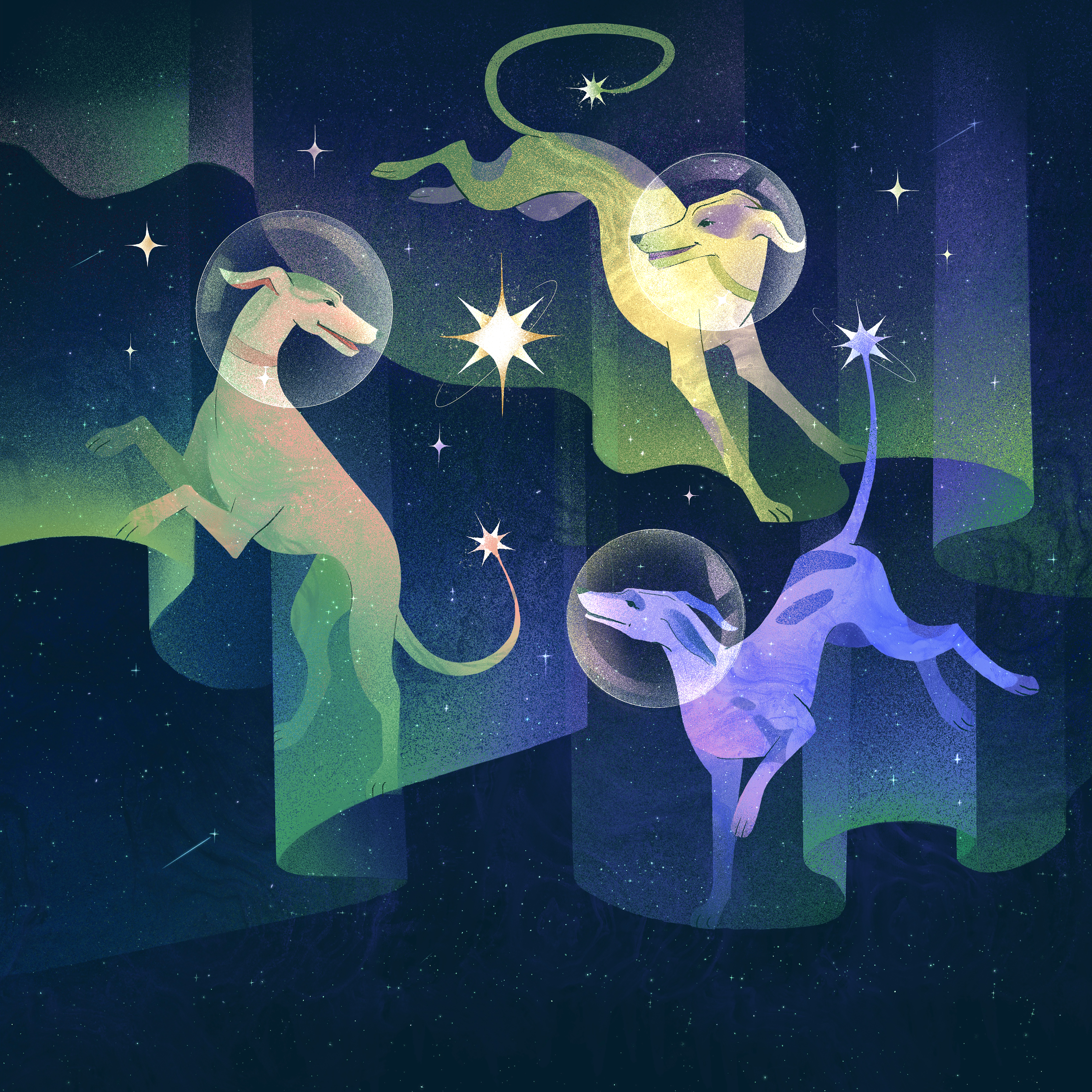 Stars and Dogs